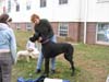 IMG_2950
